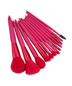 Beauty Professional Salon Make-Up Brush Set